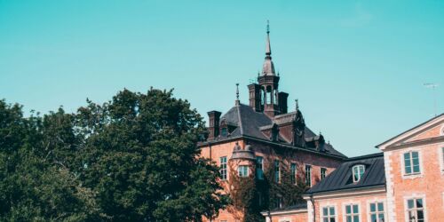 aron-fjell-RWFUt9_8Row-unsplash